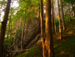 2013-07-13_Regina-F-Rau_Sonnenspitze3 (295).JPG